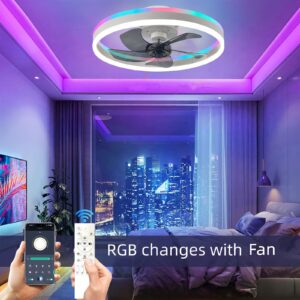 RGB Fan Lights For PCs Remote Control